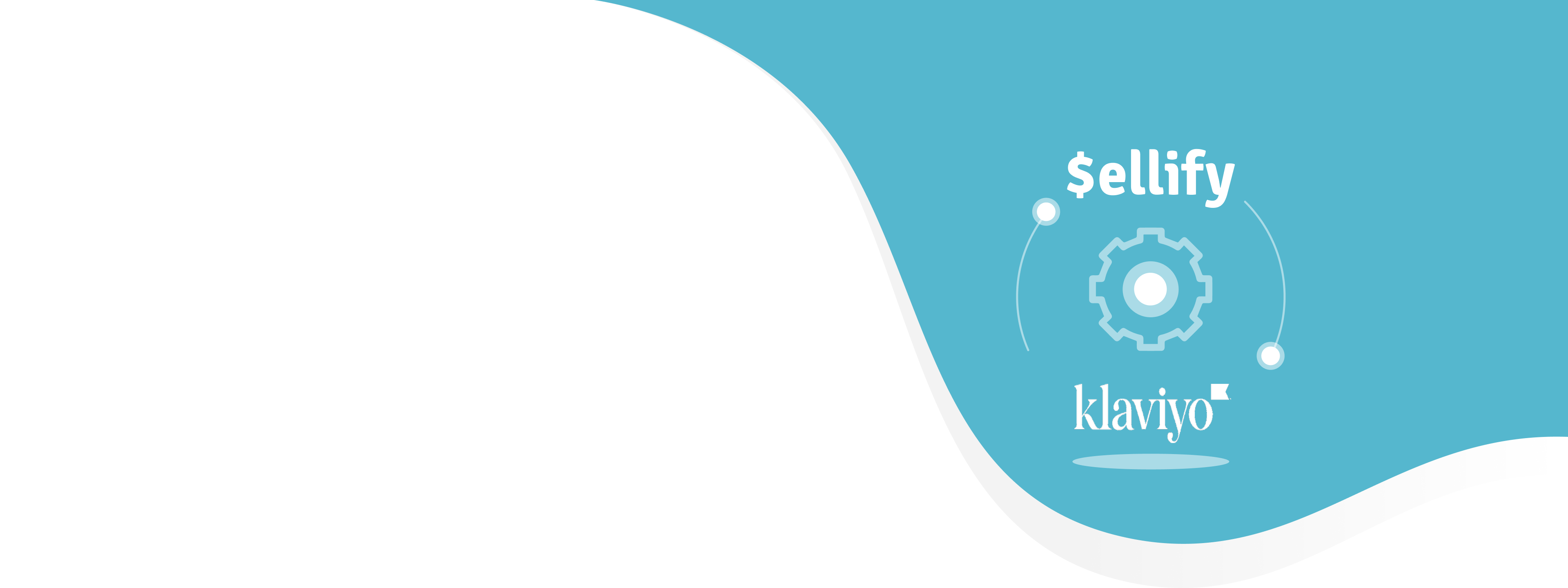 Sellify and Klaviyo Integration